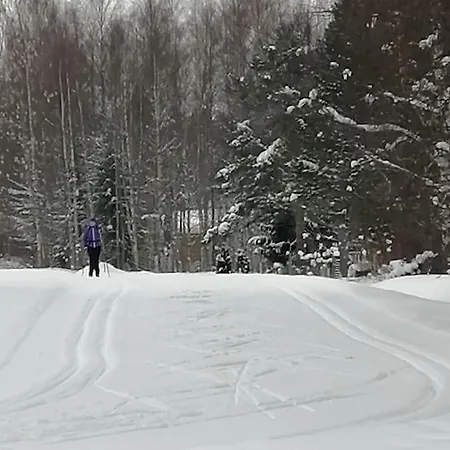 Rivitalon Pieni Paeaetykaksio - 37 M2 Jämsä